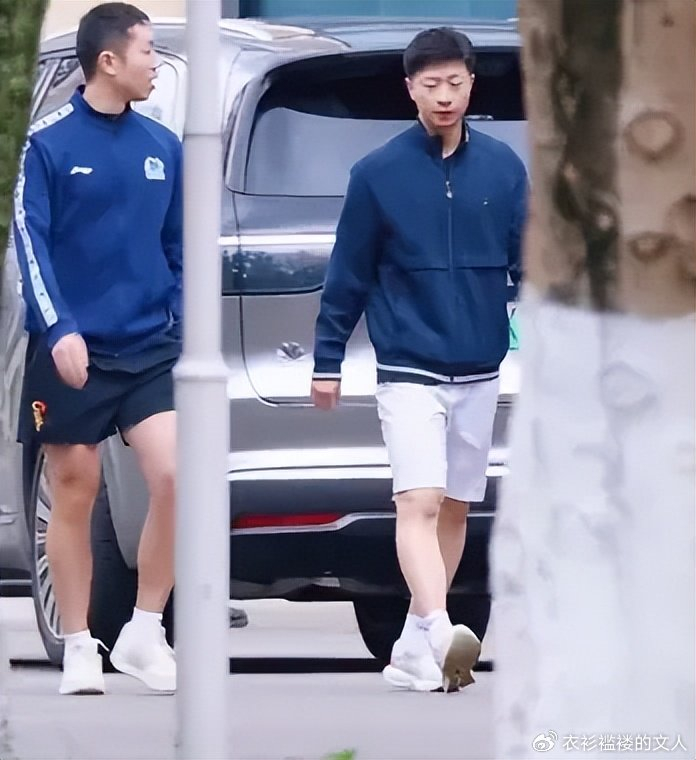 国乒将士训练备战伦敦团体赛 孙颖莎笑容满面王